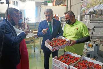 El vicepresidente del Gobierno de Canarias visita el municipio de Valsequillo/Acfi Press.